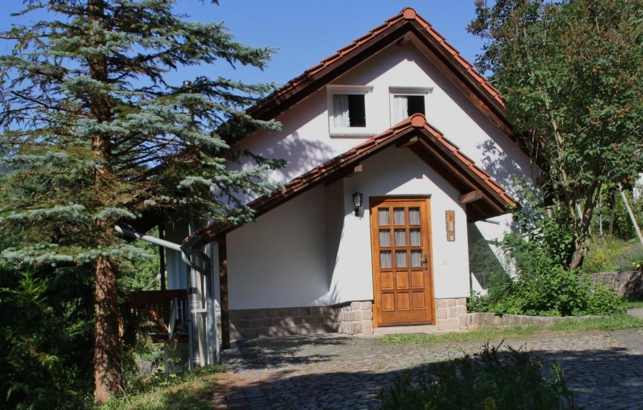 Ferienhaus "Am Schleifenbach" Saalfeld Saale Dış mekan fotoğraf